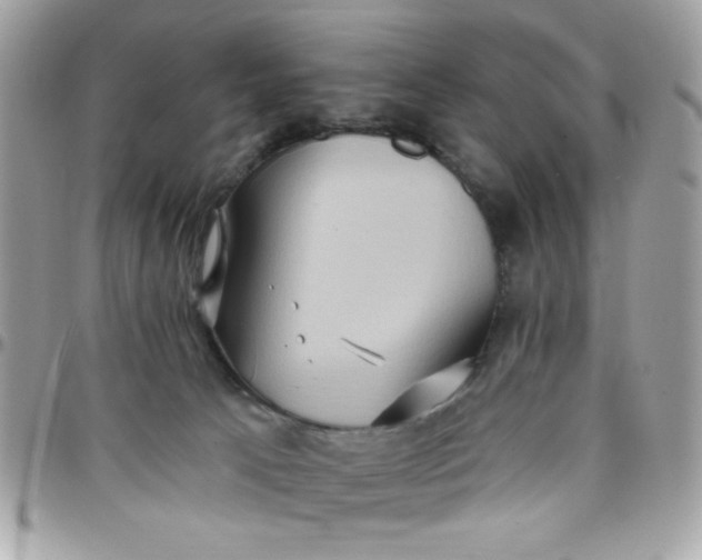 X0000097770033200803211746