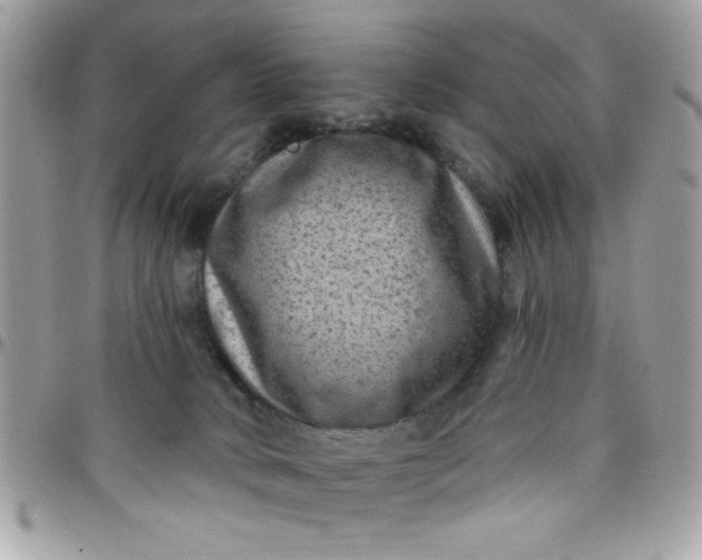 X0000097770034200803211746