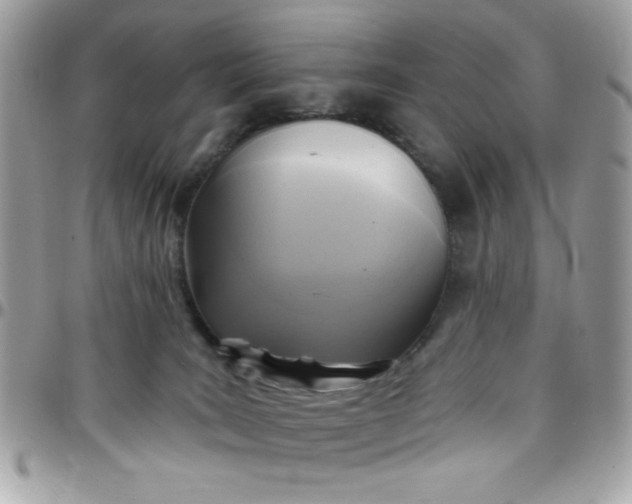 X0000097770035200803211746