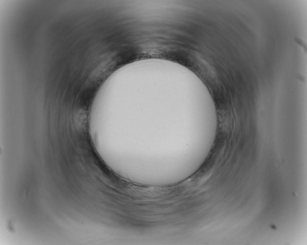 X0000097770036200803211746