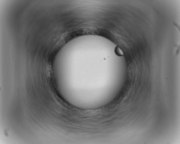 X0000097770038200803211746