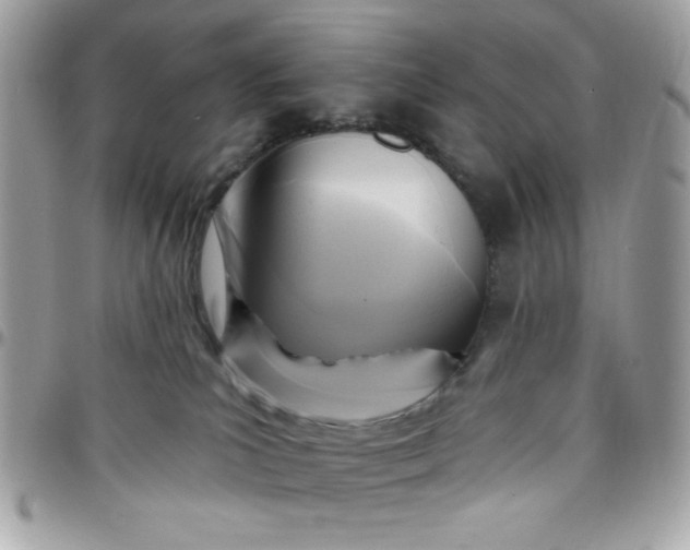 X0000097770039200803211746