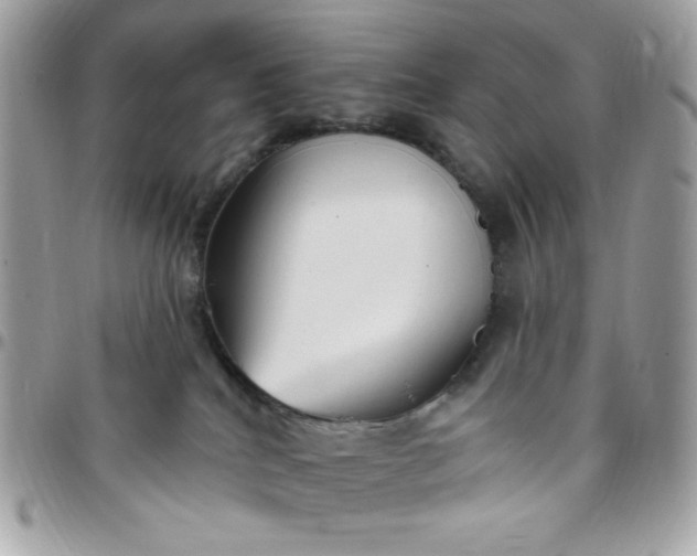 X0000097770040200803211746