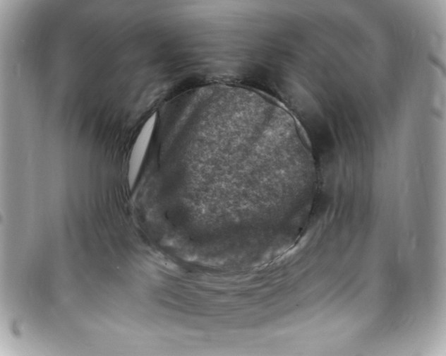 X0000097770041200803211746