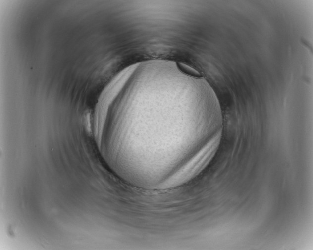 X0000097770042200803211746