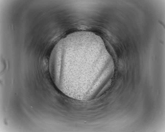 X0000097770043200803211746