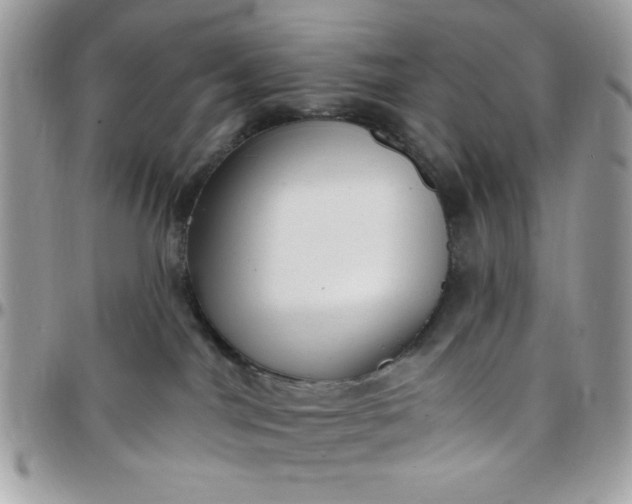 X0000097770044200803211746