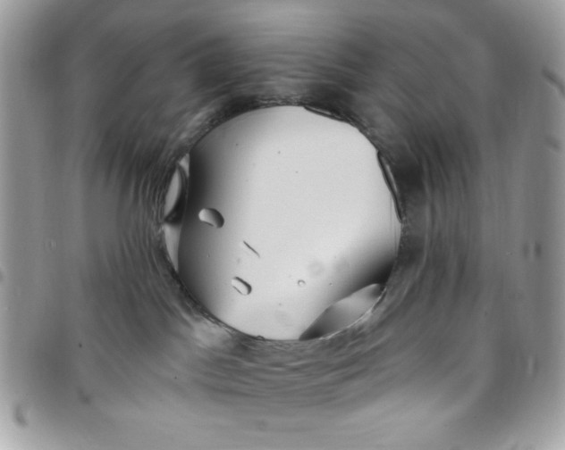 X0000097770045200803211746