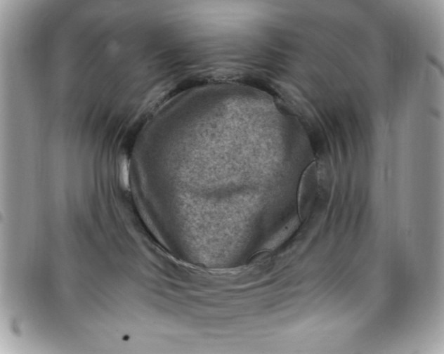 X0000097770046200803211746