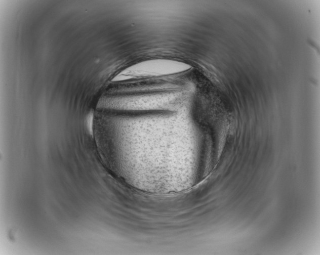 X0000097770047200803211746