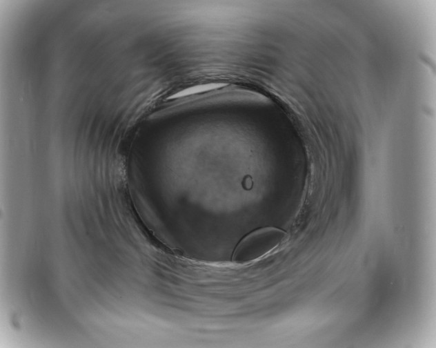 X0000097770048200803211746