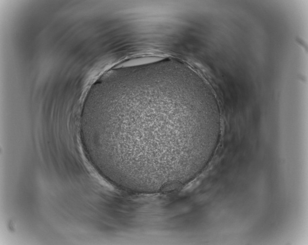 X0000097770049200803211745