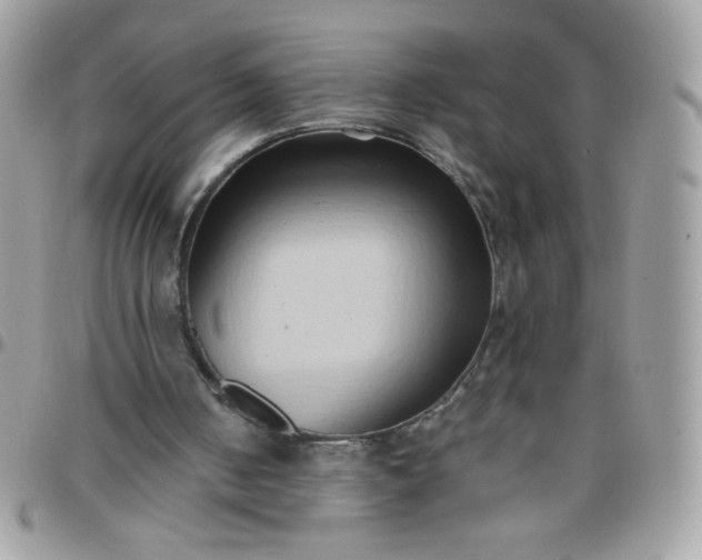 X0000097770050200803211745