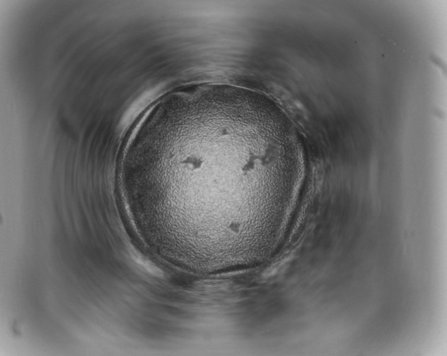 X0000097770051200803211745