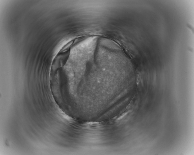 X0000097770052200803211745