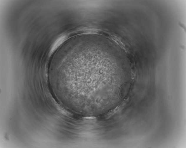 X0000097770053200803211745