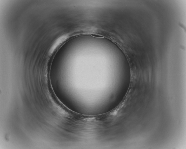 X0000097770054200803211745