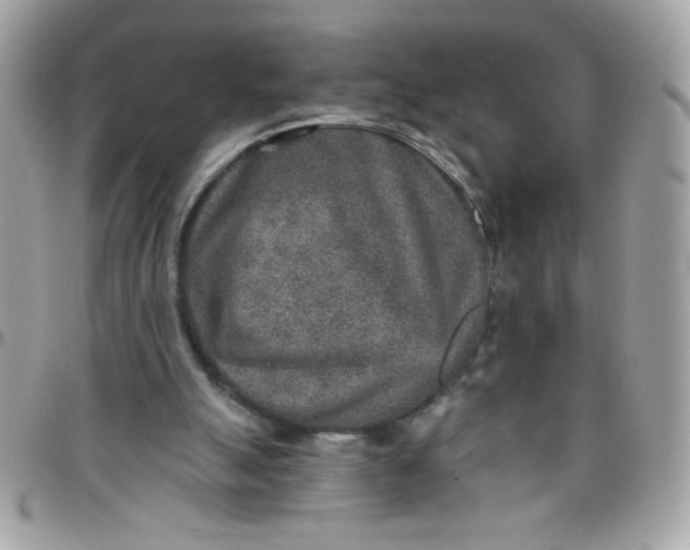 X0000097770055200803211745