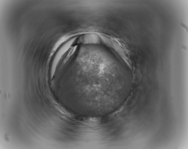 X0000097770056200803211745