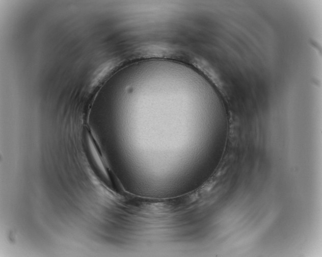 X0000097770058200803211745