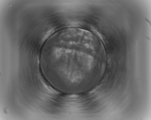 X0000097770059200803211745