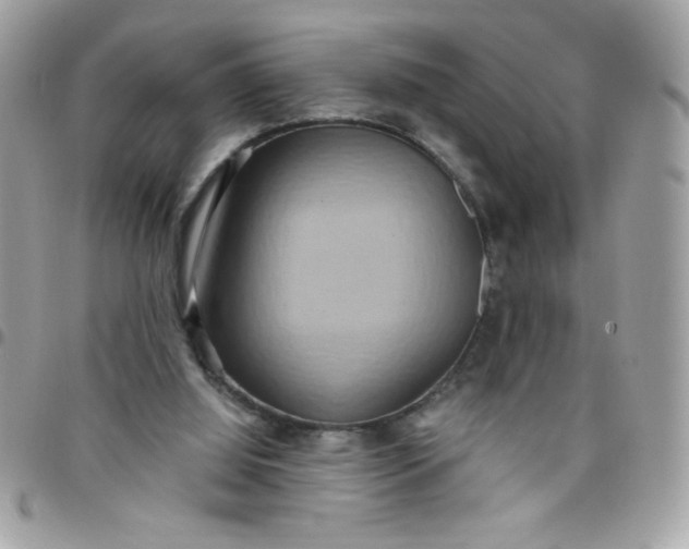 X0000097770060200803211745