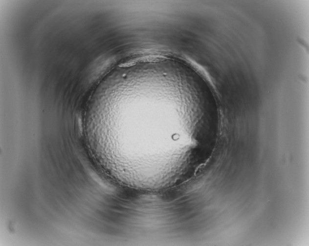 X0000097770061200803211745