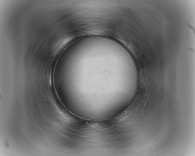 X0000097770062200803211745