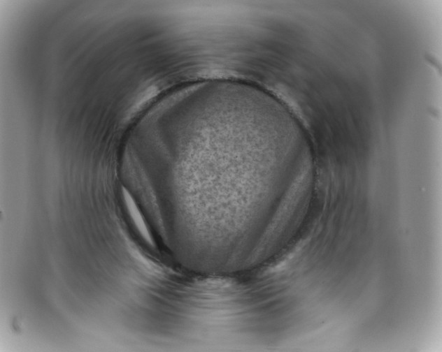 X0000097770063200803211745