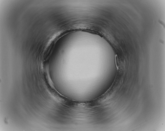 X0000097770064200803211745