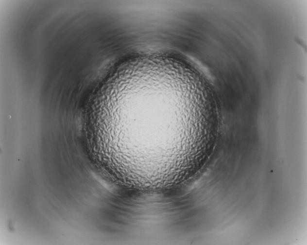 X0000097770065200803211745