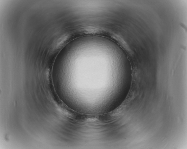 X0000097770066200803211745