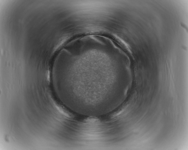 X0000097770067200803211745