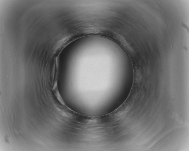 X0000097770068200803211745