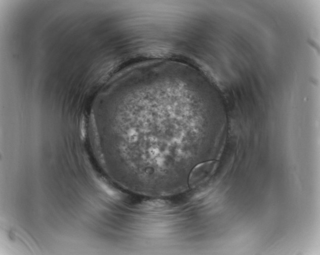 X0000097770069200803211745