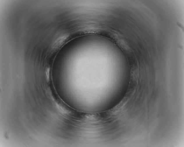 X0000097770070200803211745