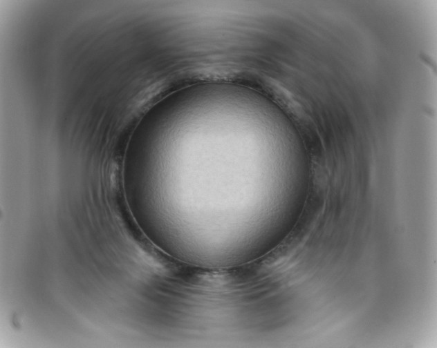 X0000097770071200803211745