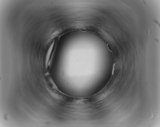 X0000097770072200803211746