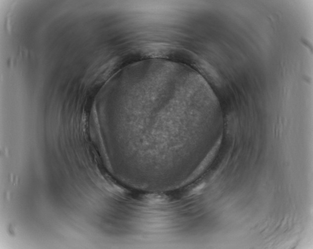 X0000097770073200803211746