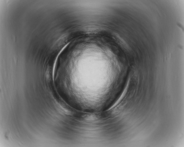 X0000097770074200803211746