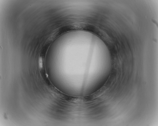 X0000097770075200803211746