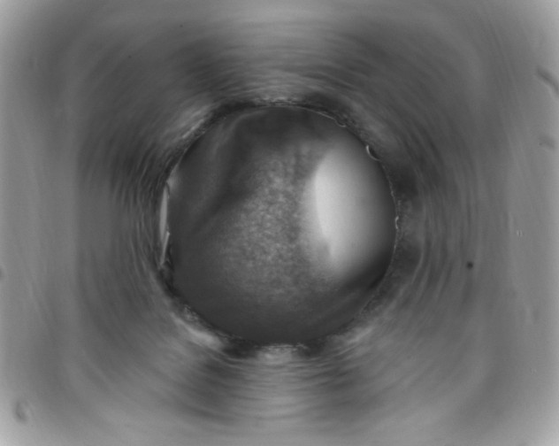 X0000097770076200803211746