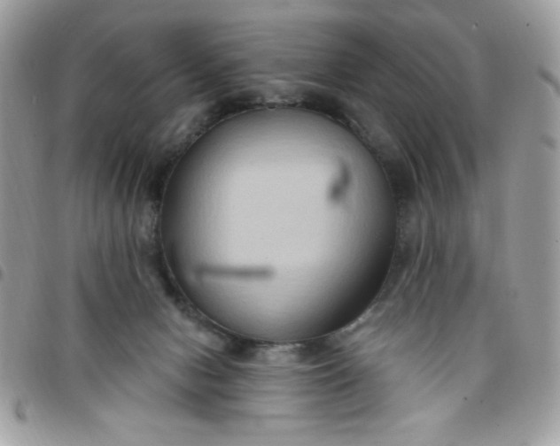 X0000097770078200803211746