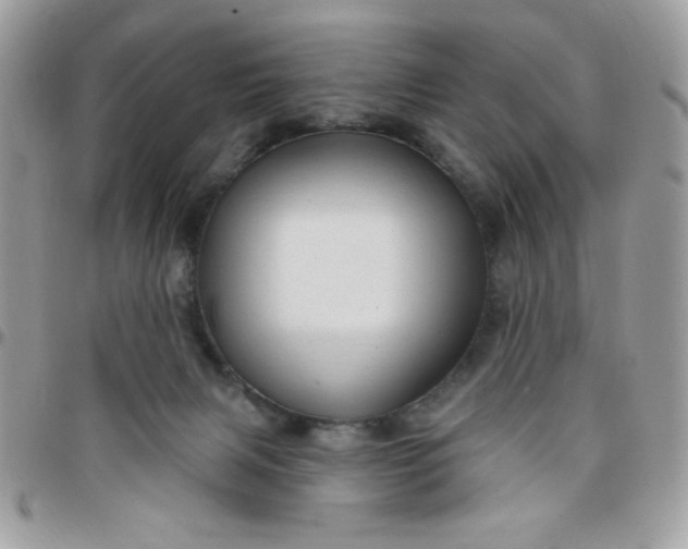 X0000097770079200803211746