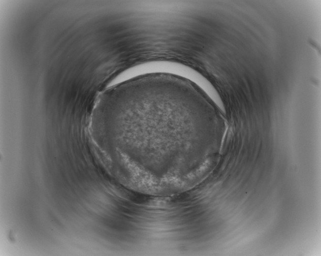 X0000097770080200803211746