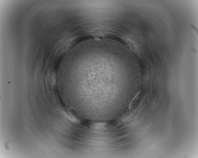 X0000097770081200803211746