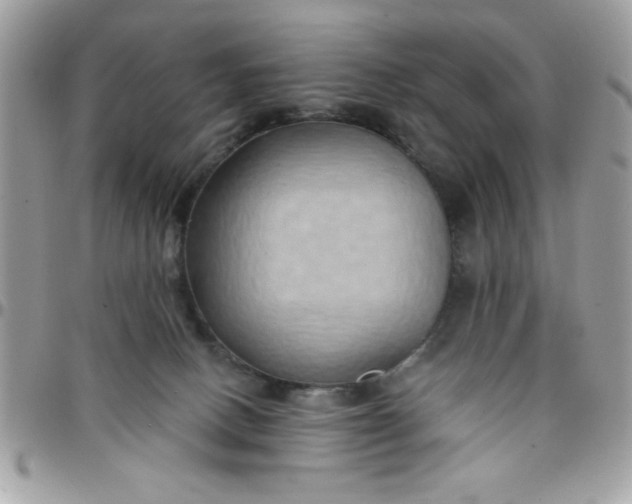 X0000097770082200803211746