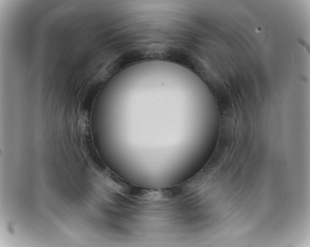 X0000097770083200803211746