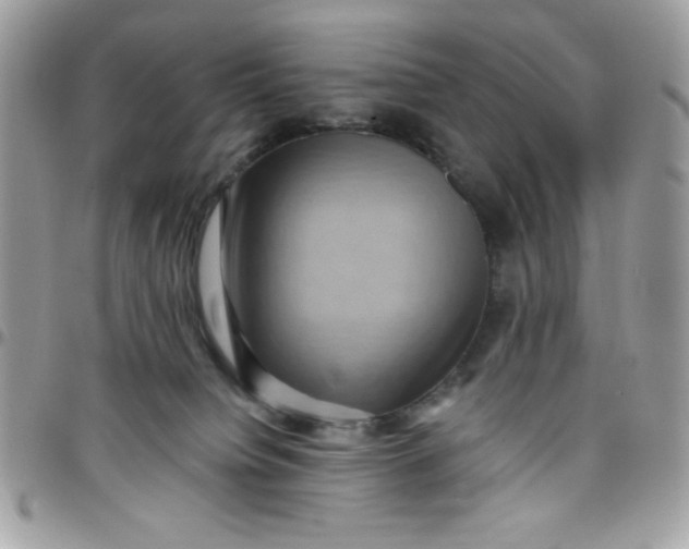 X0000097770084200803211746