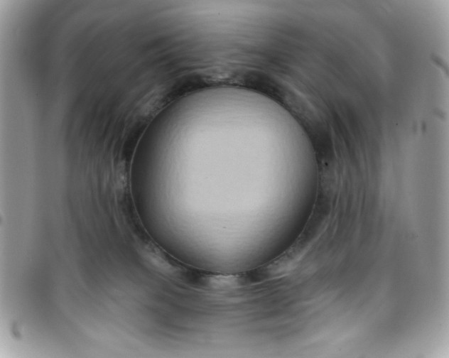 X0000097770085200803211746